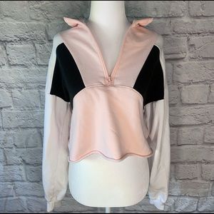 Hollister Pullover Cropped Hoodie